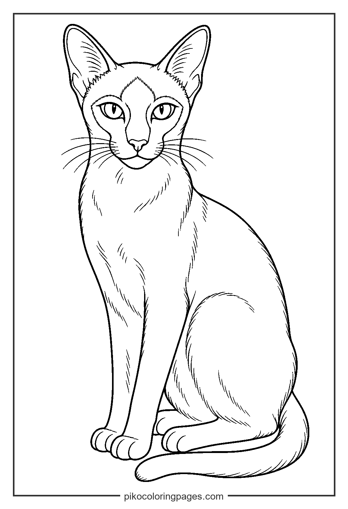 An elegant Siamese cat waits patiently in this detailed coloring sheet. Realistic Siamese cat sitting elegantly coloring page for adults