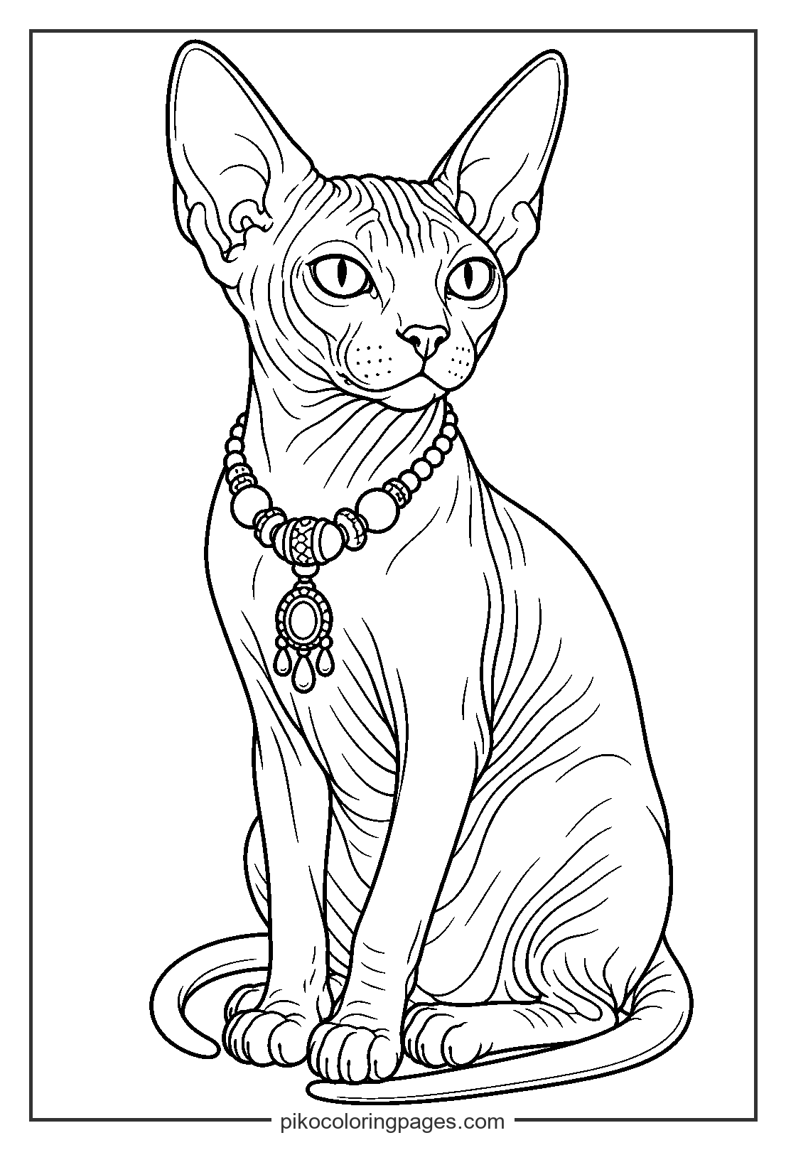 The hairless Sphynx cat looks like royalty in this elegant pose. Realistic Sphynx cat coloring page with elegant necklace