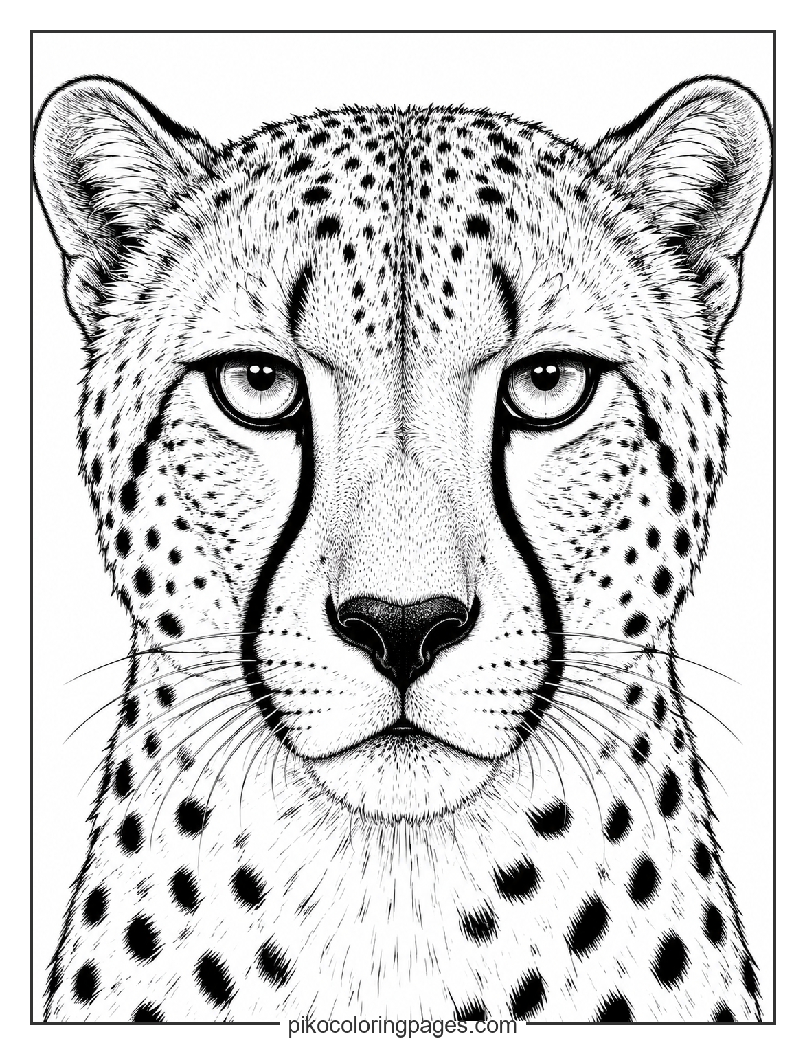 Realistic cheetah face closeup with tear marks coloring page