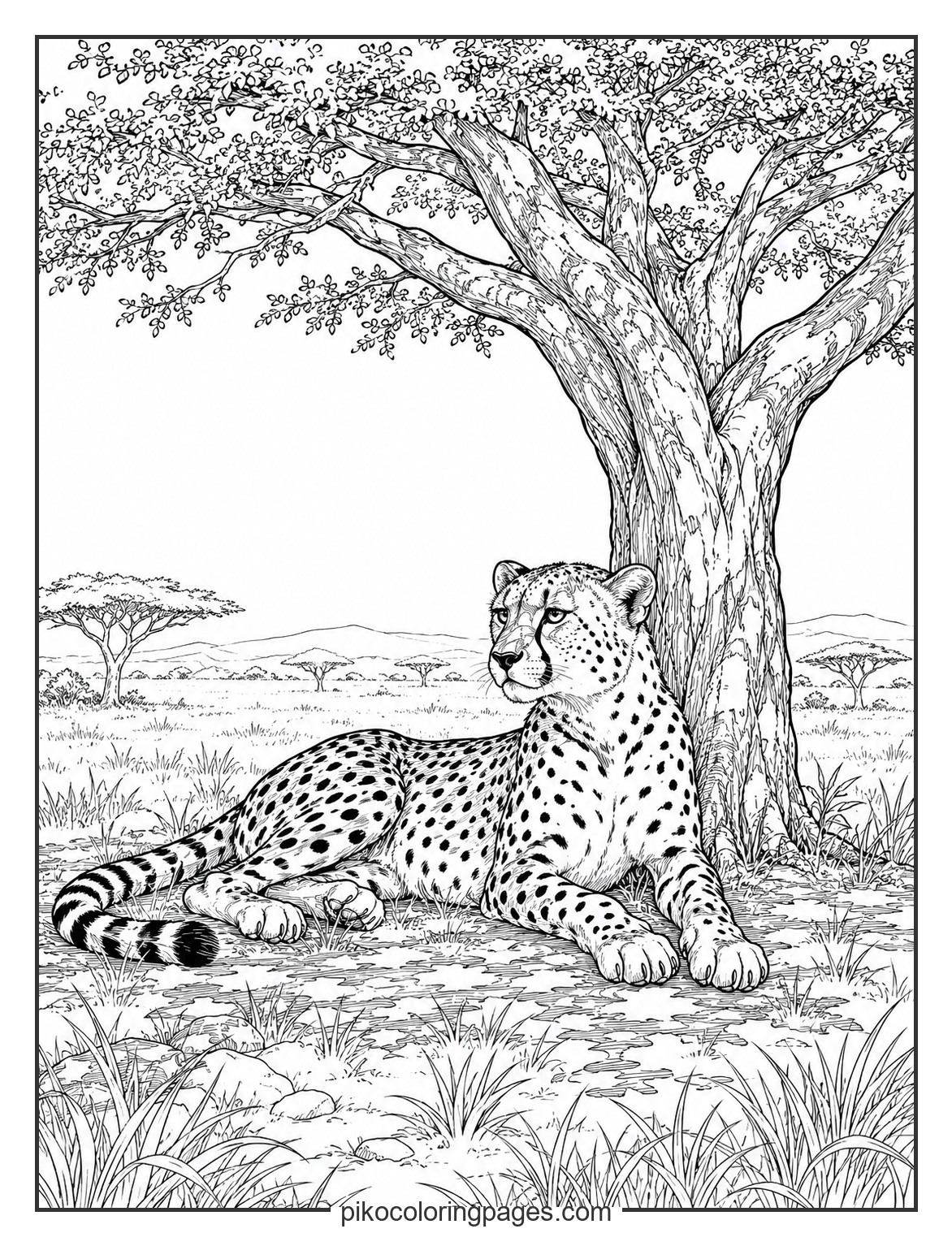 Realistic cheetah resting under a tree coloring page