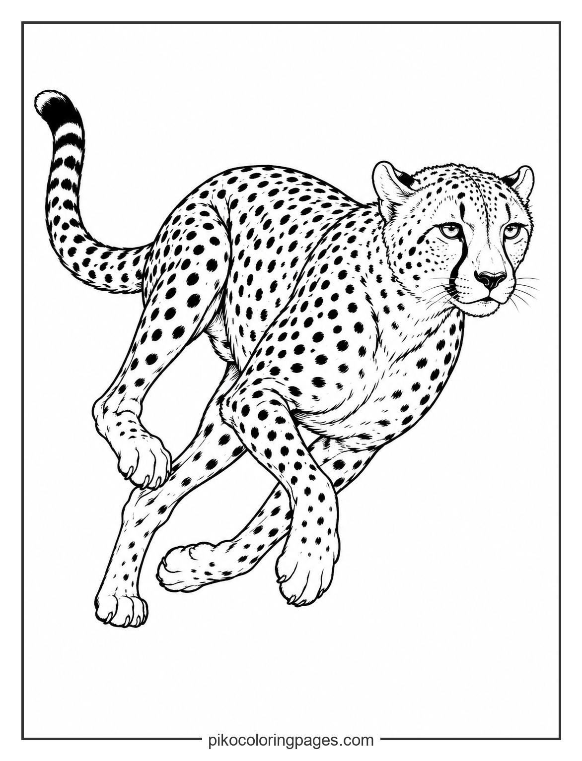 Realistic cheetah running at high speed coloring sheet for older children