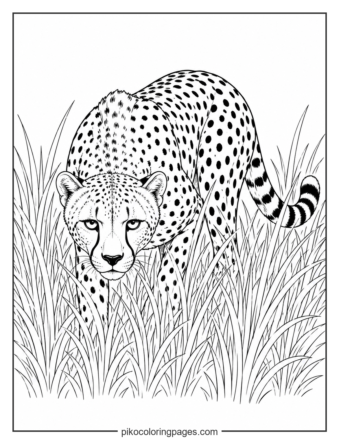Realistic stalking cheetah in tall grass coloring page