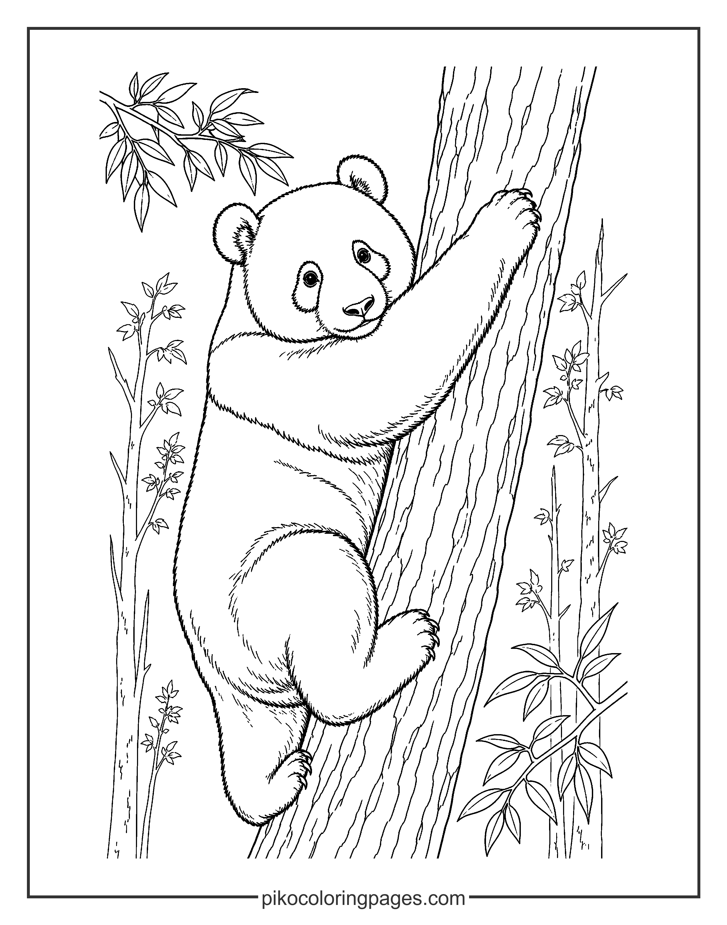 Realistic panda climbing a tree trunk coloring page