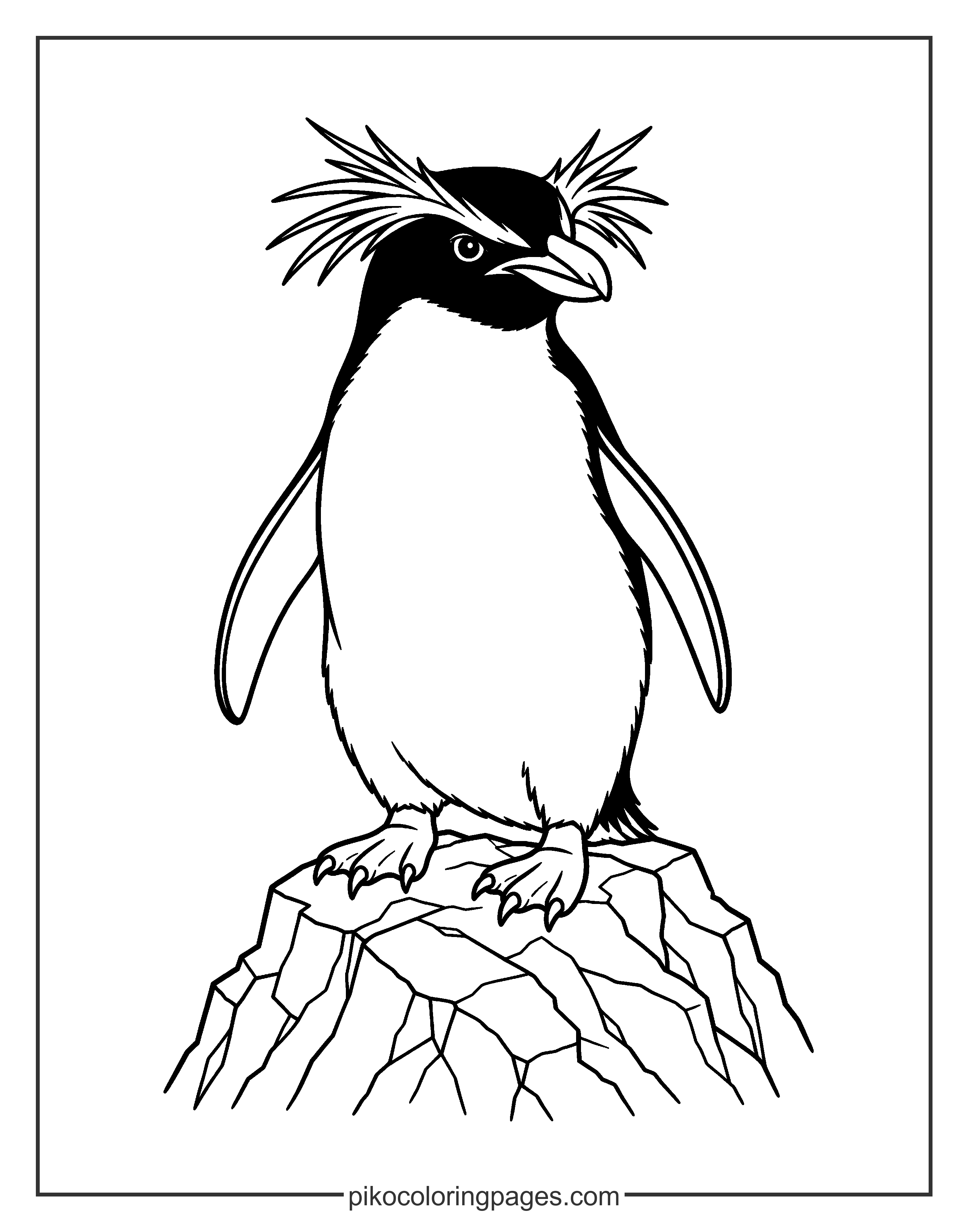 The Rockhopper penguin is famous for its cool yellow eyebrows! A detailed coloring page of a Rockhopper penguin with its unique crest.