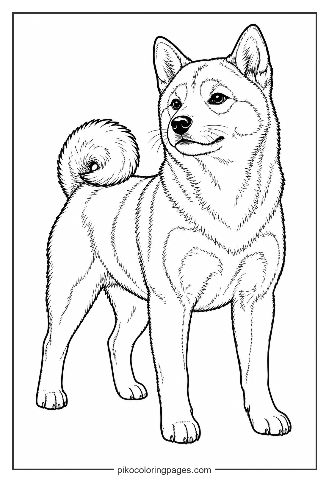 The spirited shiba inu in a realistic puppy form. realistic shiba inu puppy coloring page printable