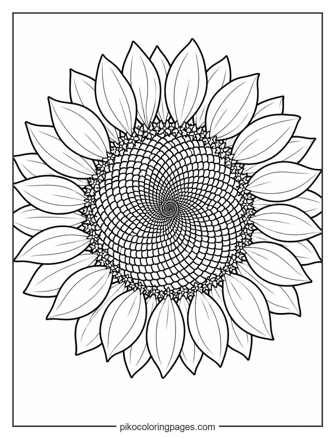 A detailed botanical look at a sunflower's natural spiral pattern. realistic sunflower with detailed seed head pattern coloring page