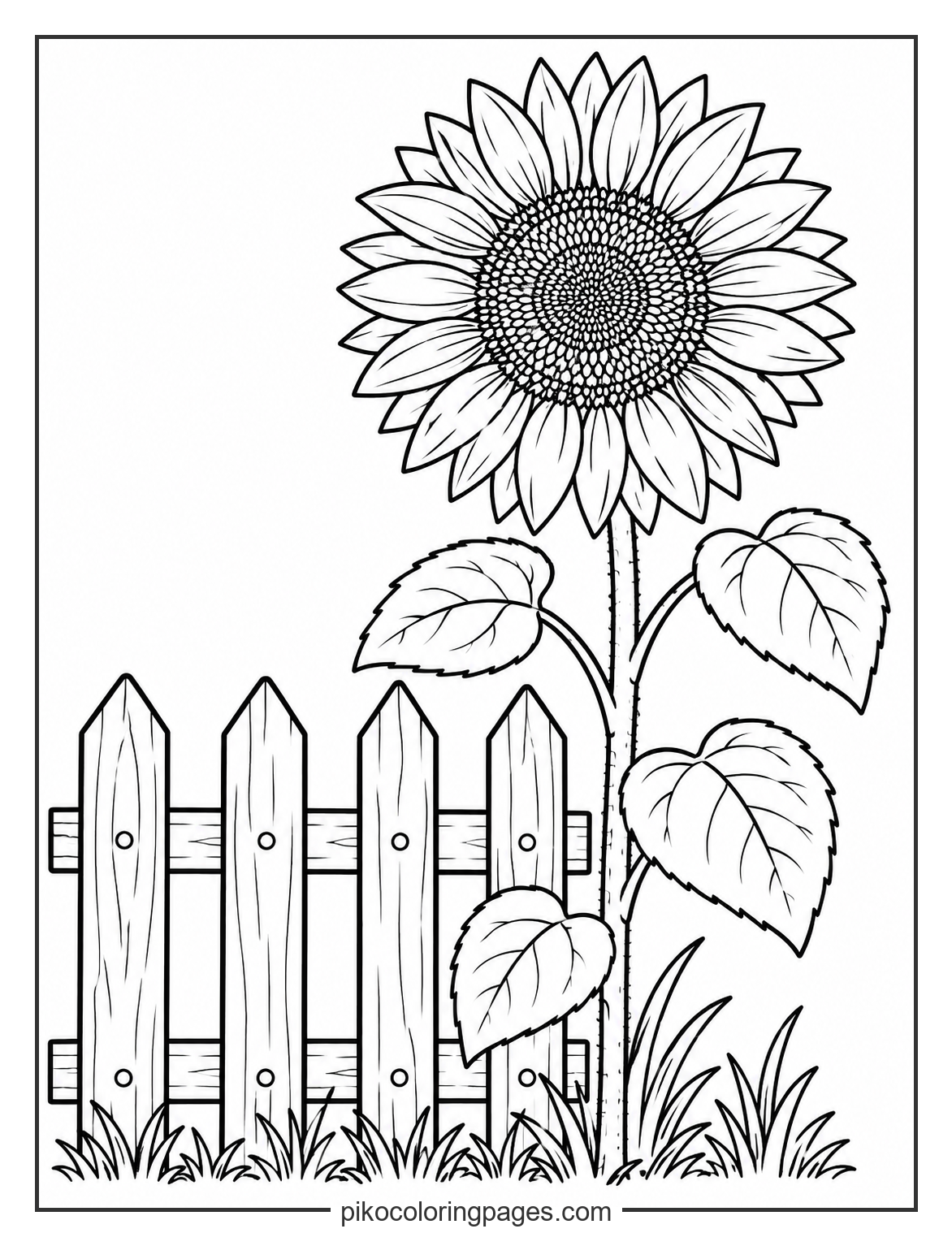 A scenic view of a sunflower growing by a garden fence. tall sunflower in a rustic garden scene coloring page